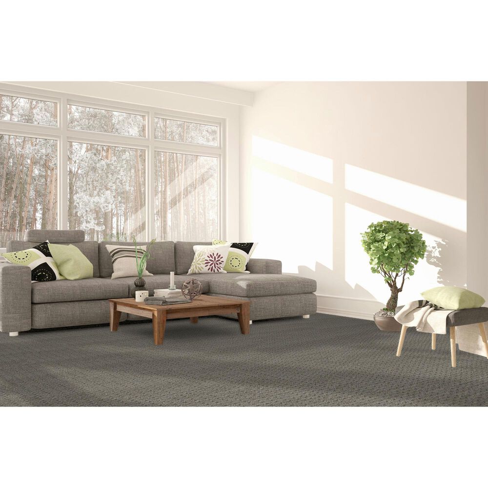 Dream Weaver Chelsea Carpet in Kings Point, , large