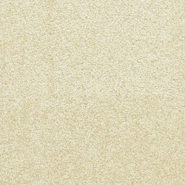 Dixie Home Simplicity Carpet in Sanderling, , large