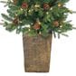 The Gerson Company 4" Potted Pre-Lit Artificial Georgia Pine with White LED Lights in Green, , large