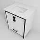 Lexora Home Ziva 30" Single Bathroom Vanity in White with 2 cm White Quartz Top and Rectangular Sink, , large
