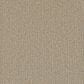 Phenix Cabana Carpet in Popsicle, , large