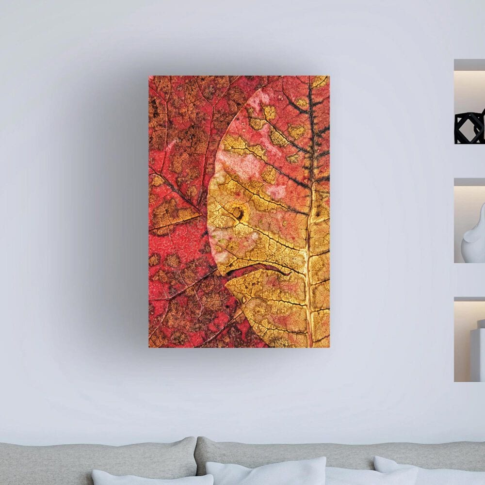 Timberlake Dying Leaf 24&quot; x 16&quot; Canvas Art in Red/Tan/Wine, , large