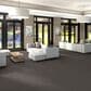Shaw Yes You Can III Carpet in Marble, , large
