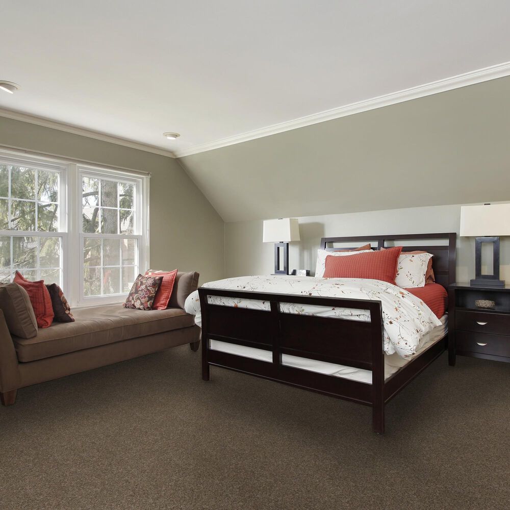 Dream Weaver Serene II Carpet in Walnut Grove, , large