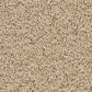 Shaw New Memories S Carpet in Hourglass, , large