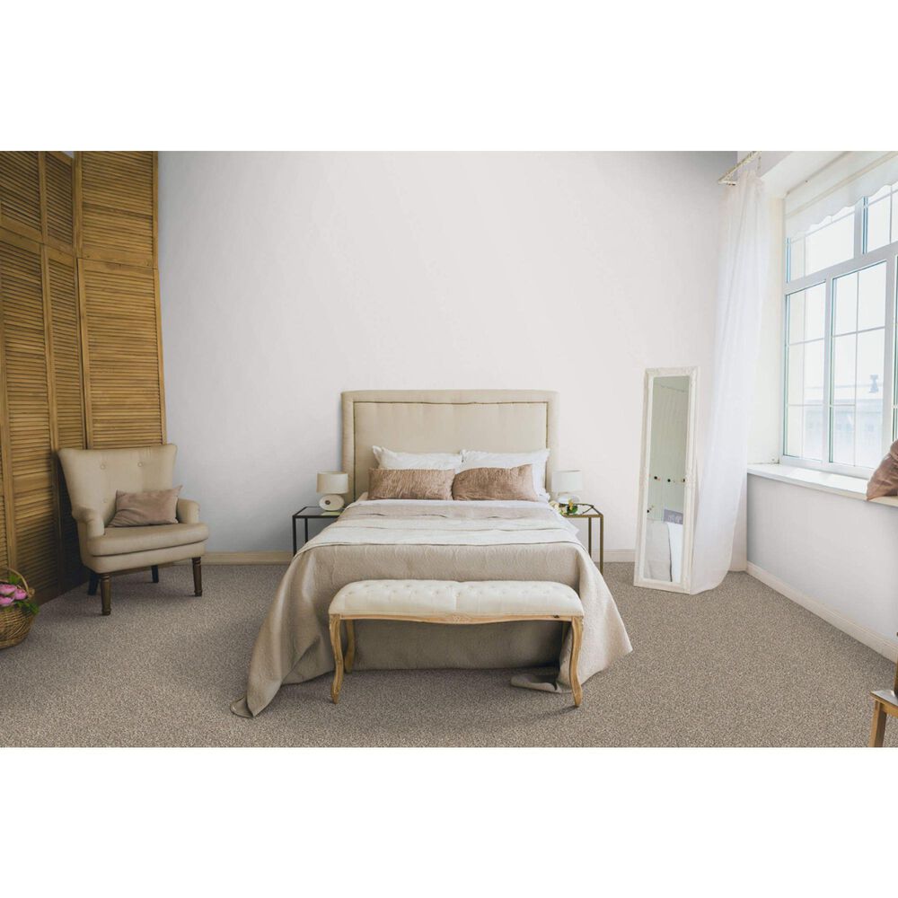 Dixie Home Simplicity Carpet in Yosemite, , large