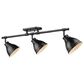 Golden Lighting Duncan Semi-Flush in Matte Black, , large