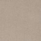 Phenix Current Platinum Carpet in Wave, , large