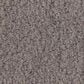 Anderson Tuftex Luxe Feel II Carpet in Pacific, , large
