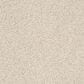 Shaw Del Morro Carpet in Frenchy, , large