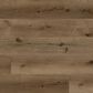 Republic Floor The Woodland Bear Oak 7" x 60" Vinyl Plank, , large
