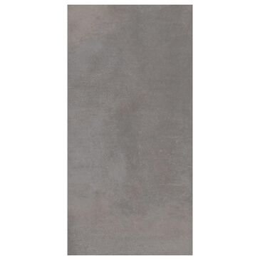Emser Cosmopolitan F02COSMST1224V2 Steel 12" x 24" Porcelain Tile, , large