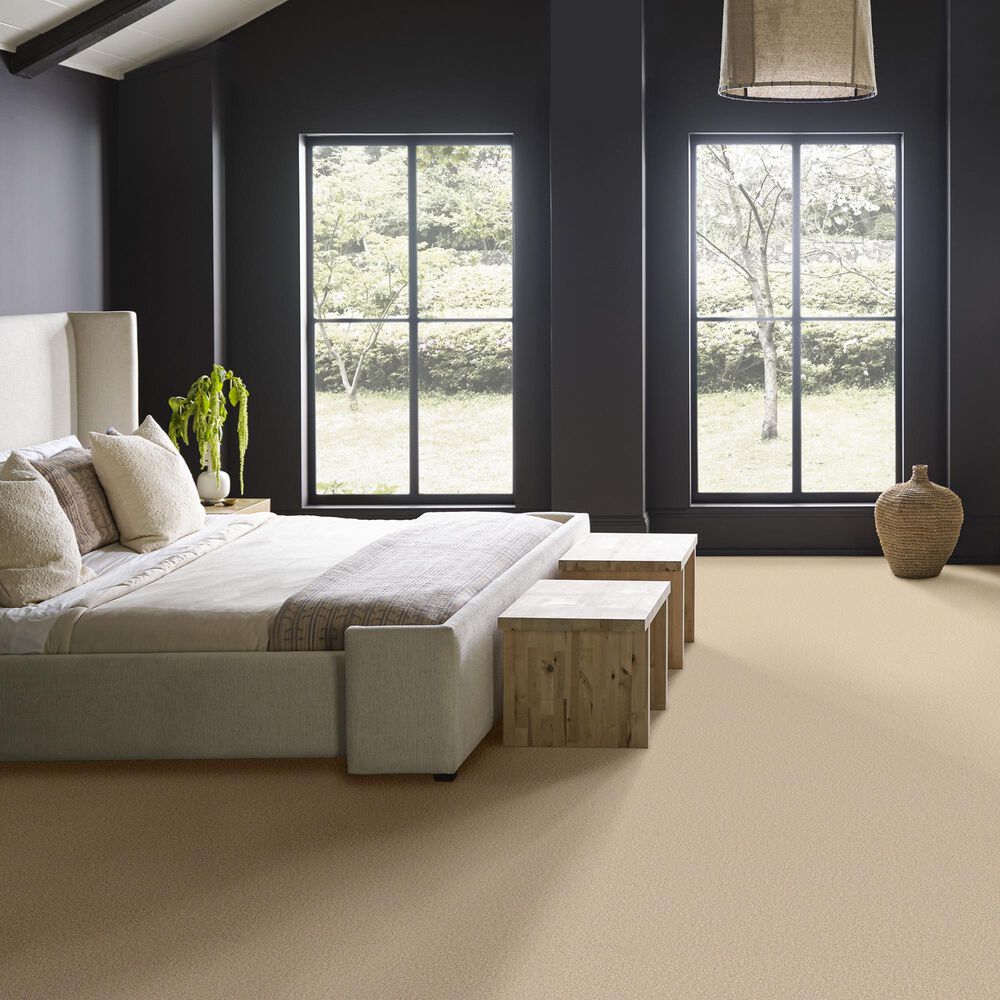 Anderson Tuftex Wyndham Estate Carpet in Risotto, , large