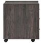 Belle Furnishings Modern Edge Castered File Cabinet in Caffe, , large