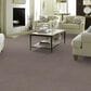 Anderson Tuftex Caress Cozy Harbor I Carpet in Stucco, , large