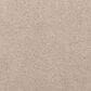 Mohawk Luxuriant Life Carpet in Nomad, , large