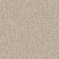 Shaw Awaken Spirit II 15" Carpet in Cloud, , large