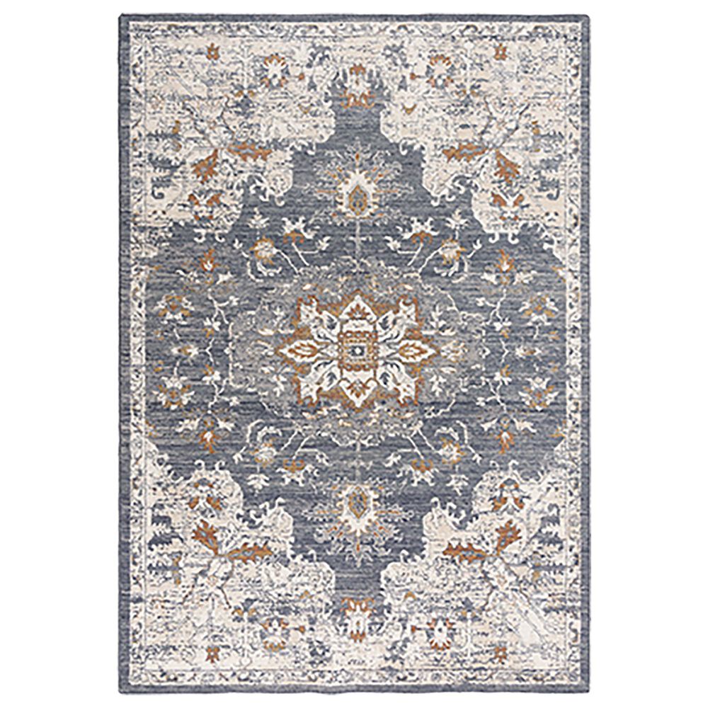 RIZZY Ventura VRA750 8" x 10" Blue Area Rug, , large