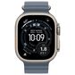 Apple Watch Ultra 3 (GPS+Cellular) 49mm Titanium Case with Anchor Blue Ocean Band in Natural and 2-Year AppleCare+, , large