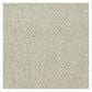 Shaw Capital III Carpet in Influential, , large