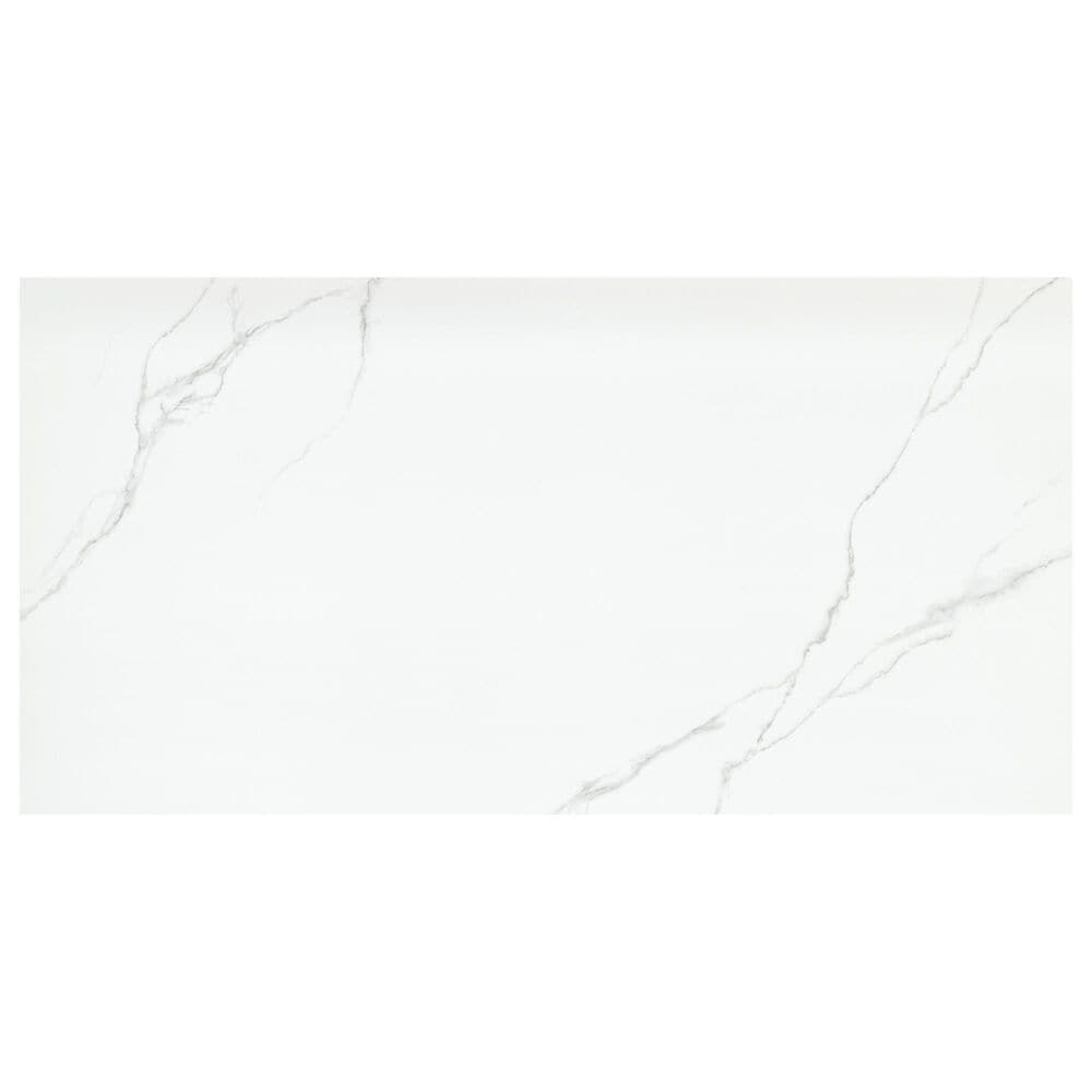 Emser Duchessa Silver 24" x 24" Polished Porcelain Tile, , large