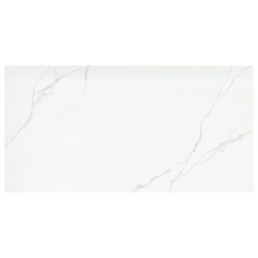 Emser Duchessa Silver 24" x 24" Polished Porcelain Tile, , large