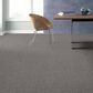 Anderson Tuftex Lavish Living Carpet in Grounded Gray, , large