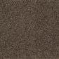 Karastan Highland Scene Carpet in Steeple, , large