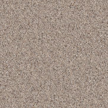 Dixie Home Devotion Carpet in Granite, , large