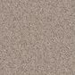 Dixie Home Devotion Carpet in Granite, , large