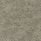 Godfrey-Hirst Inspiring Selection Carpet in Caravan, , large