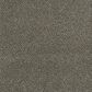 Dream Weaver PS260 Carpet in Brentwood, , large