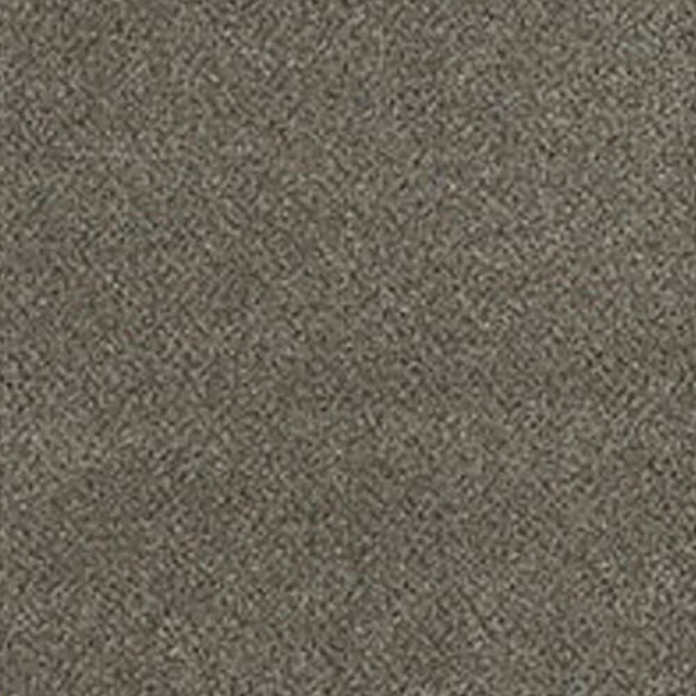 Dream Weaver PS260 Carpet in Brentwood, , large