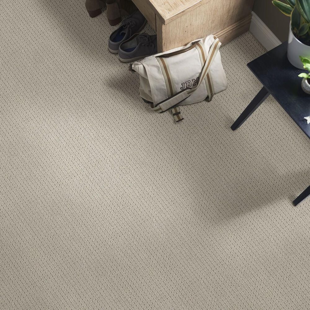 Anderson Tuftex Cabo Cove Carpet in Portico, , large