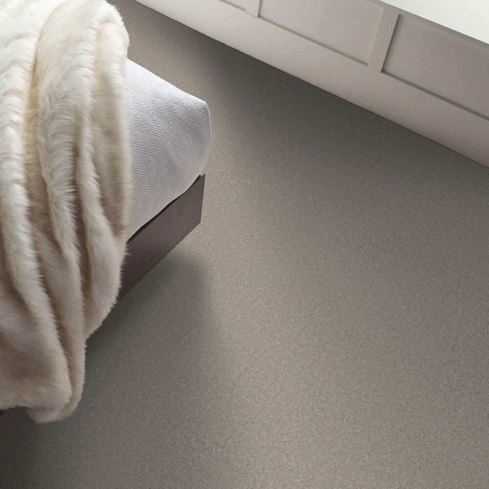 Shaw Way To Go III Carpet in Taupe Tone, , large