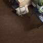 Shaw Find Your Comfort NS Blue Carpet in Chocolate Treat, , large