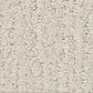 Shaw Endless Memories Carpet in Champagne Toast, , large