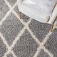 Safavieh Venus Shag VNS681J 4" x 6" Grey and Ivory Area Rug, , large