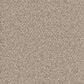 Dream Weaver East Hampton 2550 Carpet in Acorn, , large