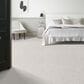 Anderson Tuftex Tangent Carpet in Linen, , large