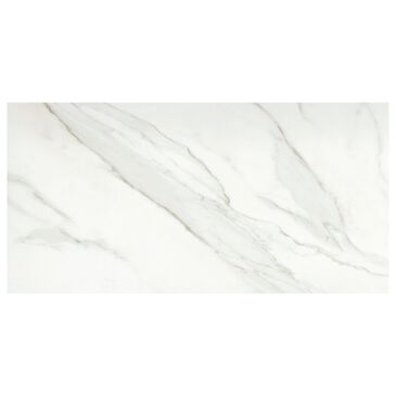 Emser Nobleza Lugo 12" x 24" Porcelain Tile, , large