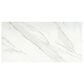 Emser Nobleza Lugo 12" x 24" Porcelain Tile, , large