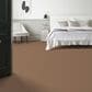Shaw Tonal Comfort Ii Carpet in Terracotta Pot, , large