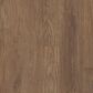 Shaw Endura Boardwalk 7" x 48" Vinyl Plank, , large