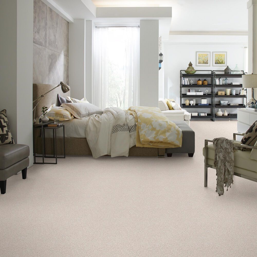 Shaw Foundations Take The Floor Tonal II Carpet in Statuary, , large