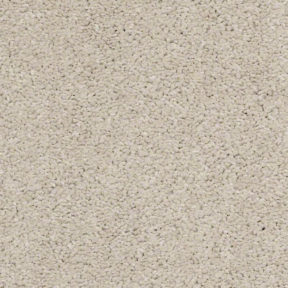 Anderson Tuftex Barracan Classic IV Carpet in Suede, , large