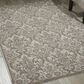 Nourison Damask DAS02 5" x 7" Ivory and Grey Area Rug, , large