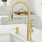 Blanco Empressa Pull-Down Faucet 1.5 GPM in Satin Gold, , large