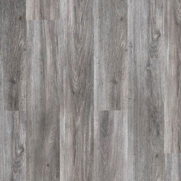 Earthwerks Chassis Pro SPC Plus Motorcoach 7" x 48" Vinyl Plank, , large
