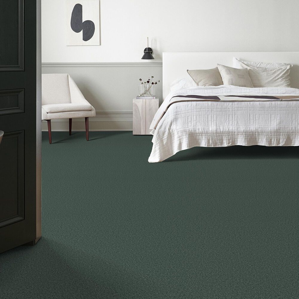 Shaw Tonal Comfort Ii Carpet in Bold Moves, , large